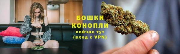 молекула духа Семикаракорск